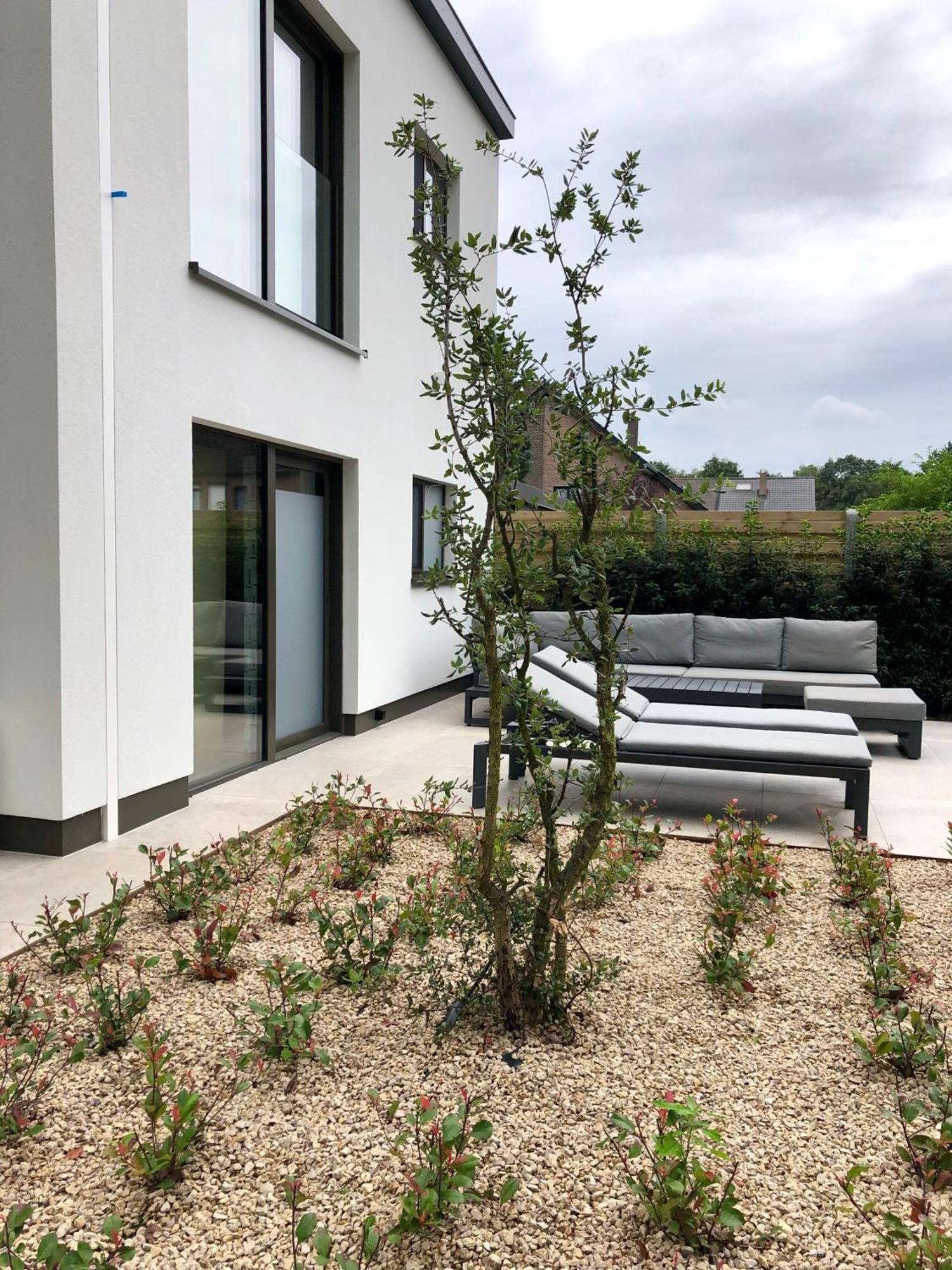 Huis Vanellus Hasselt Exterior photo